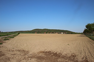 zwischen Ditterke und Everloh, Blick auf Everloh und Benther Berg