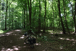 erster Sattelpunkt der Tour auf dem Benther Berg