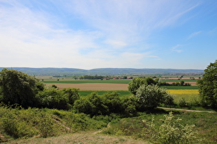 oberhalb der Mergelkuhle, Blick nach Südwesten zum Deister …