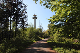 Kammweg zwischen Müllers Höh und Bröhn, Blick zum Annaturm auf der Bröhn