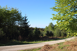 knapp unterhalb Hohe Warte, Blick nach Norden