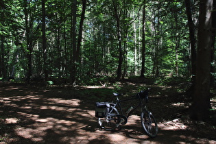 erster Sattelpunkt der Tour auf dem Benther Berg