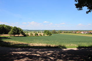 Benther Berg, Westhang, Blick nach Westen