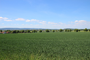 … und Blick zum Nordteil des Deisters und zum Stemmer Berg