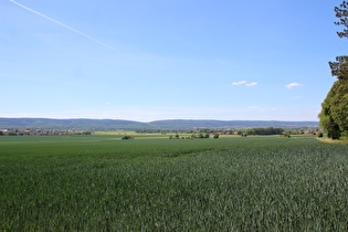 Gehrdener Berg, Westhang, Blick nach Westen zum Deister