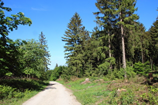 Hohe Warte, Blick nach Nordosten