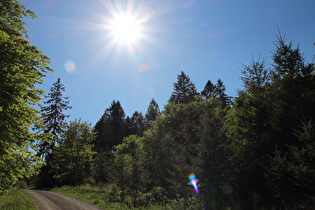 etwas weiter unten, Blick auf Hohe Warte