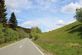 L504 bei Altenau, Blick berauf