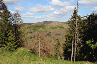 Blick auf die Lerchenköpfe bei Torfhaus