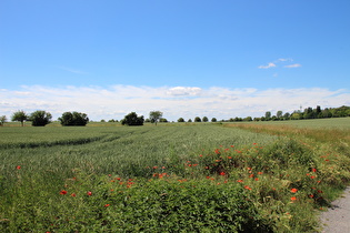 Westrand von Hannover, Blick nach Westen