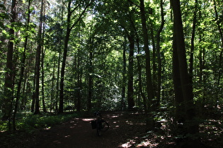 erster Sattelpunkt der Tour auf dem Benther Berg