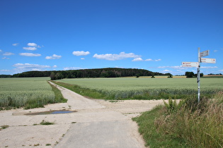 östlich von Degersen, Blick zum Gehrdener Berg