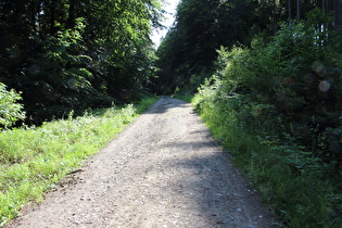 dritter Anstieg der Tour oberhalb von Waldkater