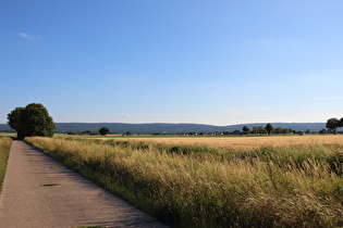 Blick über Langreder zum Deister