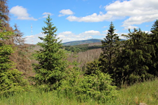 Blick auf Torfhaus und Brocken …