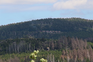 Zoom auf den Quitschenberg im Vordergrund