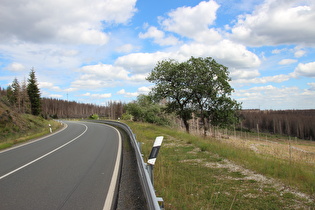 … und Blick nach Süden