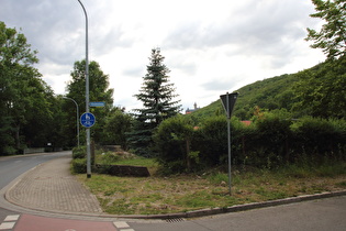 in Wernigerode, Blick zum Schloss Wernigerode