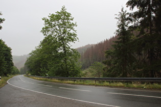 Steilstück zwischen Wernigerode und Drei Annen Hohne, Blick bergab