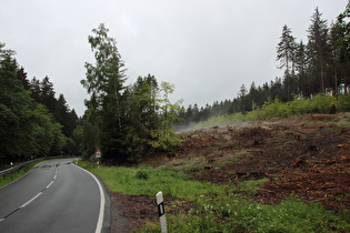 zwischen Drei Annen Hohne und Schierker Stern, Blick bergauf