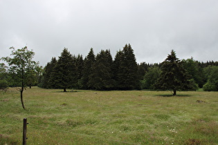 auf 600 m ü.NHN, Blick nach Nordosten, …