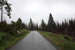 auf 800 m ü.NHN, Blick bergauf