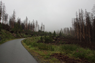 etwas weiter, Nebel voraus