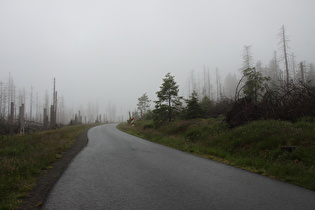 am unteren Ende des Brockenbetts Wolkenunterkante auf Höhe Asphalt