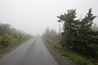 auf 1100 m ü.NHN, Blick bergauf