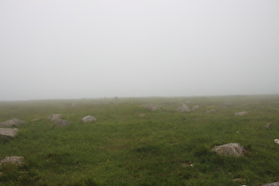 Brockengipfel, Blick nach Süden, …