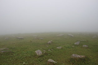 … Blick nach Südosten …