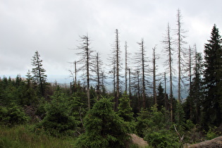 … und Blick nach Süden