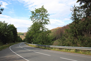 Steilstück zwischen Wernigerode und Drei Annen Hohne, Blick bergab