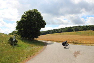 Europradweg R1 zwischen Benzingerode und Blankenburg, Blick nach Südosten, …