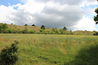 … und  Blick zum Struvenberg