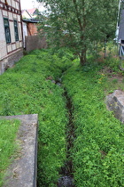 der Kleine Jordan in Cattenstedt, Blick flussaufwärts …