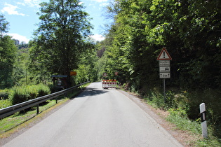 Treseburg, südlicher Ortsausgang ins Tal der Luppbode