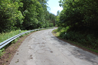 L93 mit schlechtem Belag im Tal der Luppbode