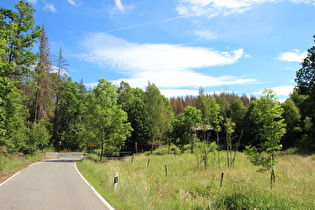 nördlicher Ortseingang von Allrode im Tal der Luppbode