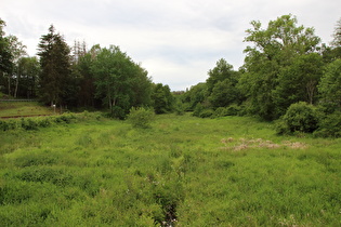 die Selke beim Bahnhof Friedrichshöhe, Blick flussaufwärts …