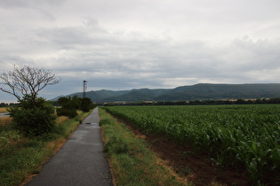 zwischen Berga und Kelbra, Blick zum Kyffhäuser