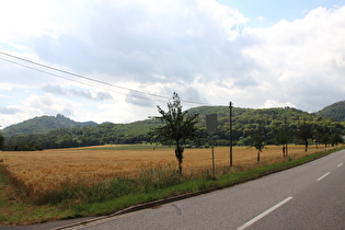 südlich von Kelbra, Blick zum Kyffhäuser, …