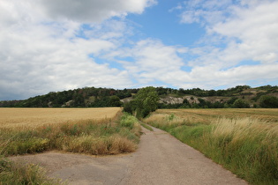 zwischen Bad Frankenhausen und Rottleben, Blick zum Kyffhäuser, …