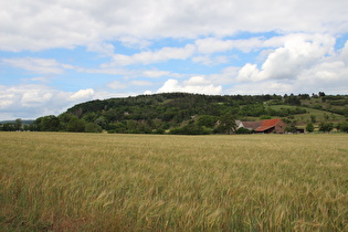 zwischen Rottleben und Steinthaleben, Blick nach Norden zum Kyffhäuser …