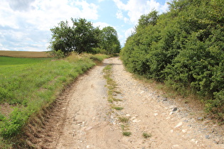 „Lutherweg“ zwischen Steinthaleben und Badra, Schiebestrecke