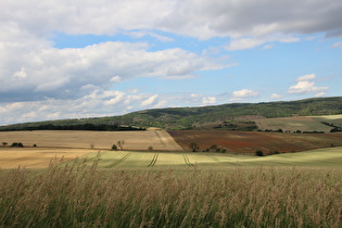 weiter oben, Blick auf die Nordwestflanke des Kyffhäuser, …