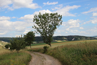 … Blick auf die Westflanke des Kyffhäuser mit hoch anstehendem Fels …