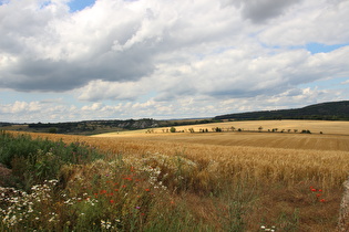 weiter oben, Blick zum Ravensberg im Harz