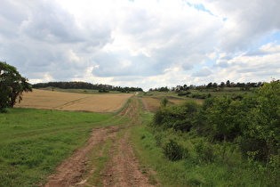 Blick nach Nordwesten auf einen namenlosen Pass im Verlauf des Lutherweges …