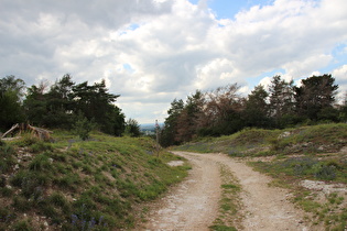 Blick nach Nordwesten